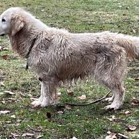 Mistery vom Hembachtal