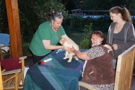 Happy wird untersucht