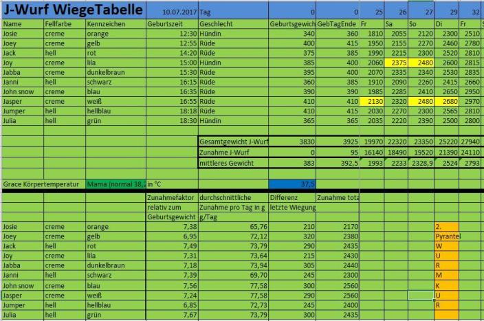 Unsere J´s sind jetzt 4 1/2 Wochen alt 