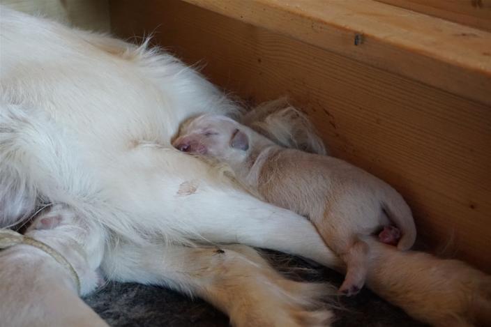 Auf Mami relaxen ist toll!